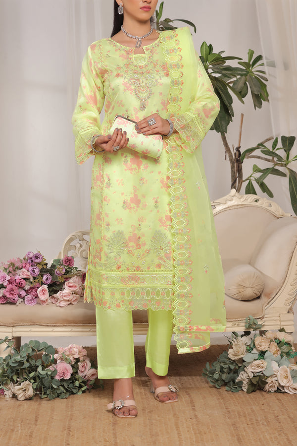 Embroidered Organza with Printed Silk Inner & Fancy Clutch